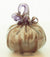 Pumpkin 10 Tan - Pumpkins & Gourds
